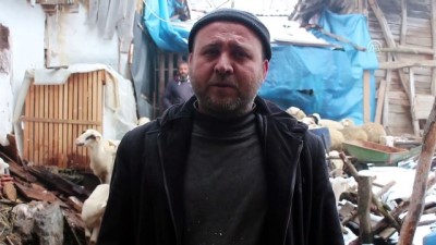 oyunculuk - Cezaevinden çıkıp devlet desteğiyle sürü sahibi oldular - BURSA  Videosu