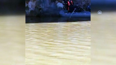 Kayalıkta mahsur kalan kuzu botla kurtarıldı - ŞANLIURFA
