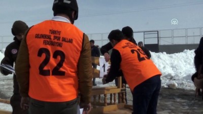 dera - Atlı Kızak Türkiye Şampiyonası sona erdi - ERZURUM  Videosu