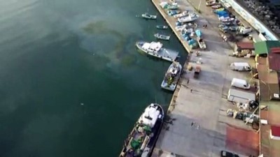 yansima - Batı Karadeniz'de balığın azalması tezgaha yansıdı - DÜZCE Videosu