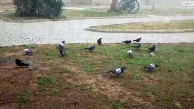 hava sicakligi - Edirne'de sis  Videosu