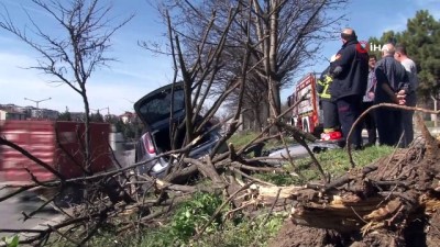 elektrik diregi -  Ağaçları devirdi, aydınlatma direğine çarparak durabildi: 1 yaralı  Videosu