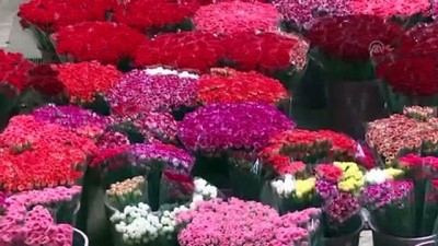 yerel secim - Çiçek sektörü, İngilizlerin Anneler Günü'ne hazırlanıyor - ANTALYA  Videosu