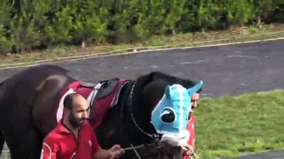 yasal duzenleme - 5. Özgecan Aslan Koşusu Adana'da yapıldı Videosu