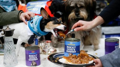ingiltere - 'Karmakarışık' Brexit'i protesto için İngiltere Parlamentosu önünde köpeklere akşam yemeği  Videosu