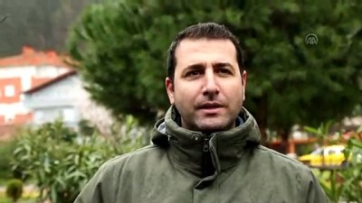 sonbahar - Kastamonu'da konaklayan turnalar doğa tutkunlarını sevindirdi Videosu