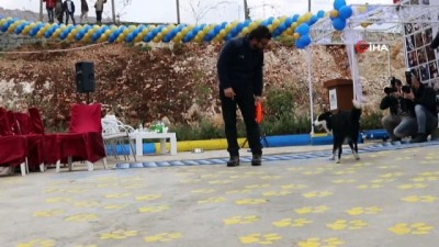  Mardin’de hayvan hastanesi açıldı 