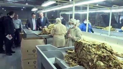 kose yazari - Tarım ve Orman Bakanı Pakdemirli - Buğday ve arpa fiyatında çiftçiye müjde - İZMİR  Videosu