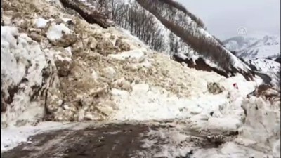 yaban domuzu - Bingöl'de çığ düştü Videosu