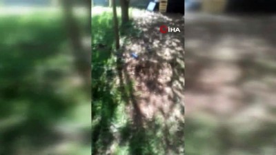  Hayvanlara su verecekti sırılsıklam oldu 