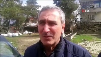 Köpekleri uyutup ağıldan 12 kuzu çaldılar 