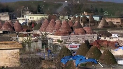 cig kofte - Mezopotamya yemekleri turistler için pişirilecek - ŞANLIURFA  Videosu