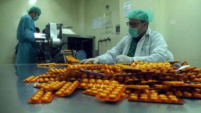 ilac uretimi - Gazze'deki tek ilaç fabrikası İsrail ablukasına direniyor - GAZZE  Videosu