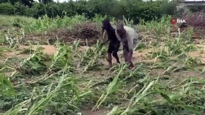 kasirga -  - Zimbabve’yi Vuran Kasırgada Ölü Sayısı 64’e Yükseldi  Videosu
