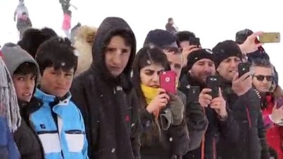 festival - Karda yuvarlanan kaşarı yakalamak için yarıştılar - KARS Videosu