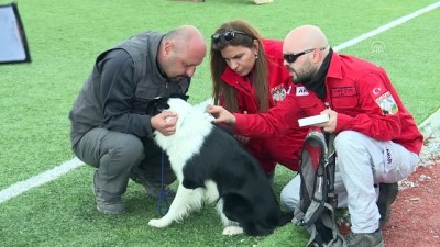 yaris - Köpekler uluslararası arama kurtarma sertifikası için yarıştı - İZMİR Videosu
