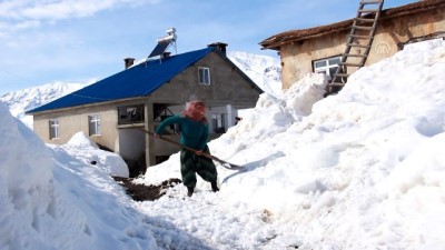 hayvancilik - Ovacık'ta 'kara kış' zorluğu  Videosu