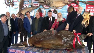  Yeşilçam'ın kötü adamları Balıkçı Kenan'da buluştu 