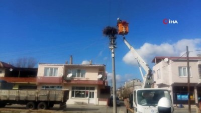  Yuvalar leylekler için hazırlandı 