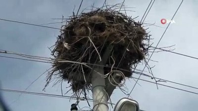 elektrik diregi -  Denizli’deki depremde dikkat çeken detay Videosu