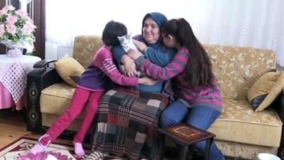 koruyucu aile - Sude ve Cemre'nin mutluluğu kedilerle katlandı - KARAMAN  Videosu