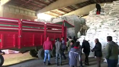 politika -  Çiftçiler, şeker pancarı ekimi için hazırlıklara başladı  Videosu