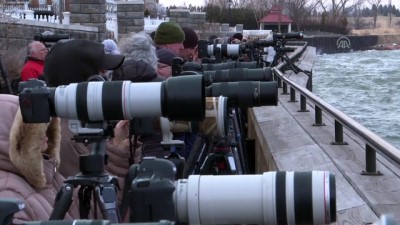 gokyuzu - New York'ta 'Süper Kanlı Kurt Ay'  Videosu