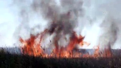 Göksu Deltası'nda yangın - MERSİN 