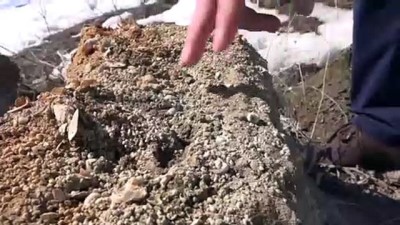 salyangoz - Muş'ta 11 milyon yıllık fosiller bulundu Videosu