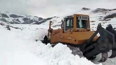 kar kalinligi - Baharda 4 metrelik karla mücadele ediyorlar - AĞRI  Videosu