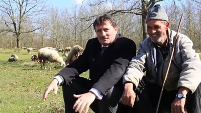 muhabbet - Elinde çayla çobanlardan destek istedi - SAKARYA  Videosu