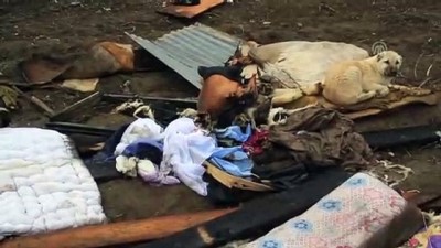 engelli kiz - Ev yangını - VAN Videosu