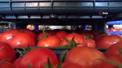 sebze hali -  Kayyumdan Silopi’ye modern sebze ve meyve hali Videosu