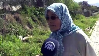 cami minaresi - 15 yıldır aynı direğe yuva yapıyorlar (2) - ANTALYA  Videosu