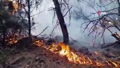 orman yangini -  Karabük’te orman yangını  Videosu