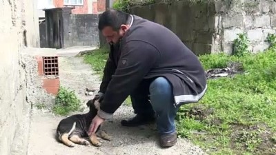 Köpeği suni solunumla hayata döndürmenin mutluluğunu yaşıyor - RİZE 