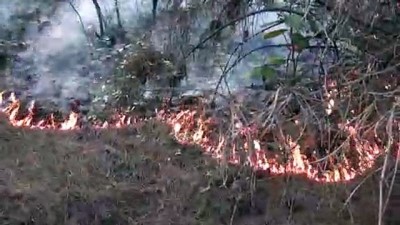 ormanli - Orman yangını - KARABÜK Videosu