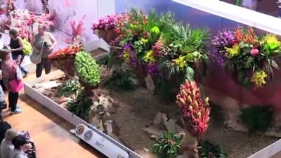 ziyaretciler - Avustralya’da Uluslararası Çiçek ve Bahçe Fuarı - MELBOURNE  Videosu
