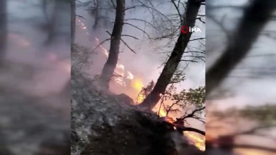 ormanli -  Aydın’da orman yangını  Videosu