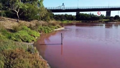  - Avustralya'da Bir Göl Pembe Renge Büründü
- Pembe Göl Ziyaretçi Akınına Uğruyor