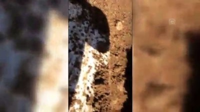 anit mezar - Kesme taşı, anıt mezar olarak satmaya çalıştıkları iddiası - MUĞLA  Videosu