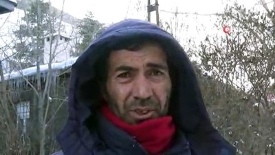  Kars’ın soğuğuna dayanamayan tilki donarak telef oldu 