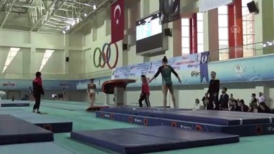 Türkiye Cimnastik Şampiyonası sona erdi - MERSİN