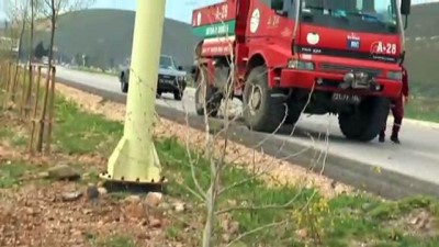 keci - 350 milyon fidan toprakla buluşacak - HATAY  Videosu