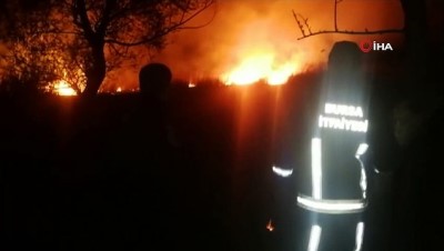  İznik'te sazlık alanda yine yangın çıktı