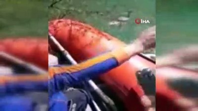  Misinaya takılan ördek AFAD tarafından kurtarıldı 