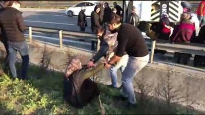 Oy kullanmaya giderken kaza yaptılar - DÜZCE