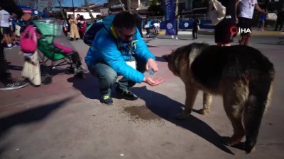 sokak kopegi -  Tuzla Sahil'de insanın içini ısıtan görüntüler...Susamış köpek, adamın avucundan kana kana su içti  Videosu