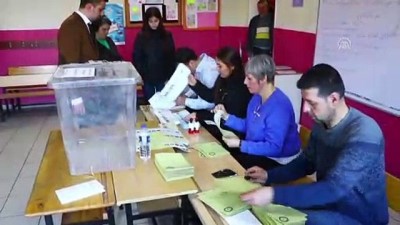 Kedi Zubi sandık başında - TEKİRDAĞ 