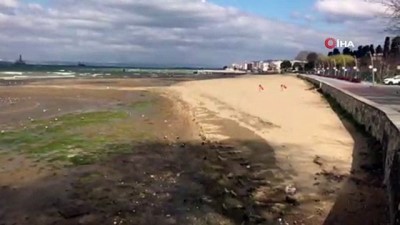  Yalova’da deniz suyu 20 metre çekildi 